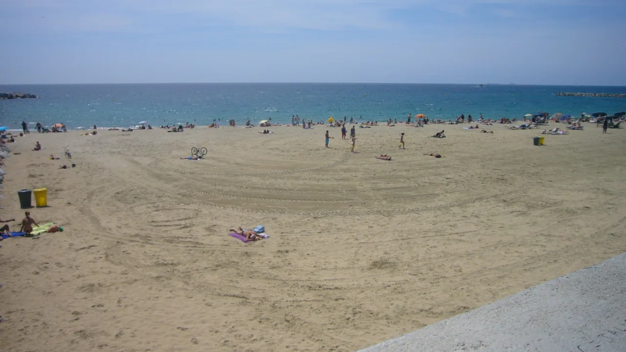 Àrea per a gossos de la platja de Llevant (Barcelona)