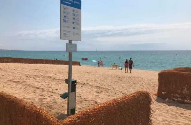 Platja de gossos de Badalona (Patins de Vela)
