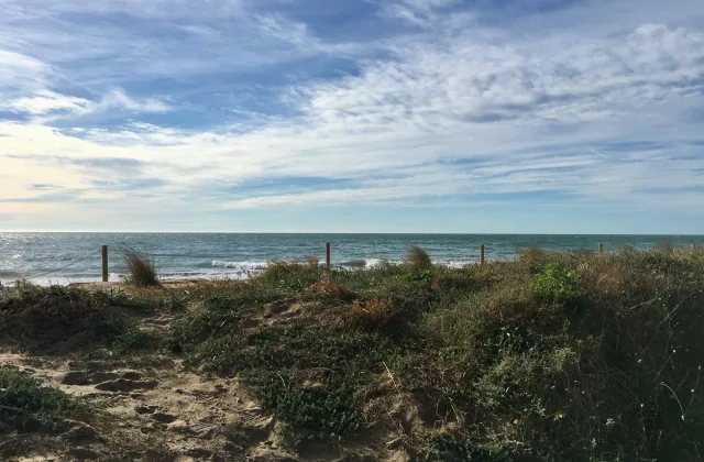 Platja de gossos de Gavà (les Marines)