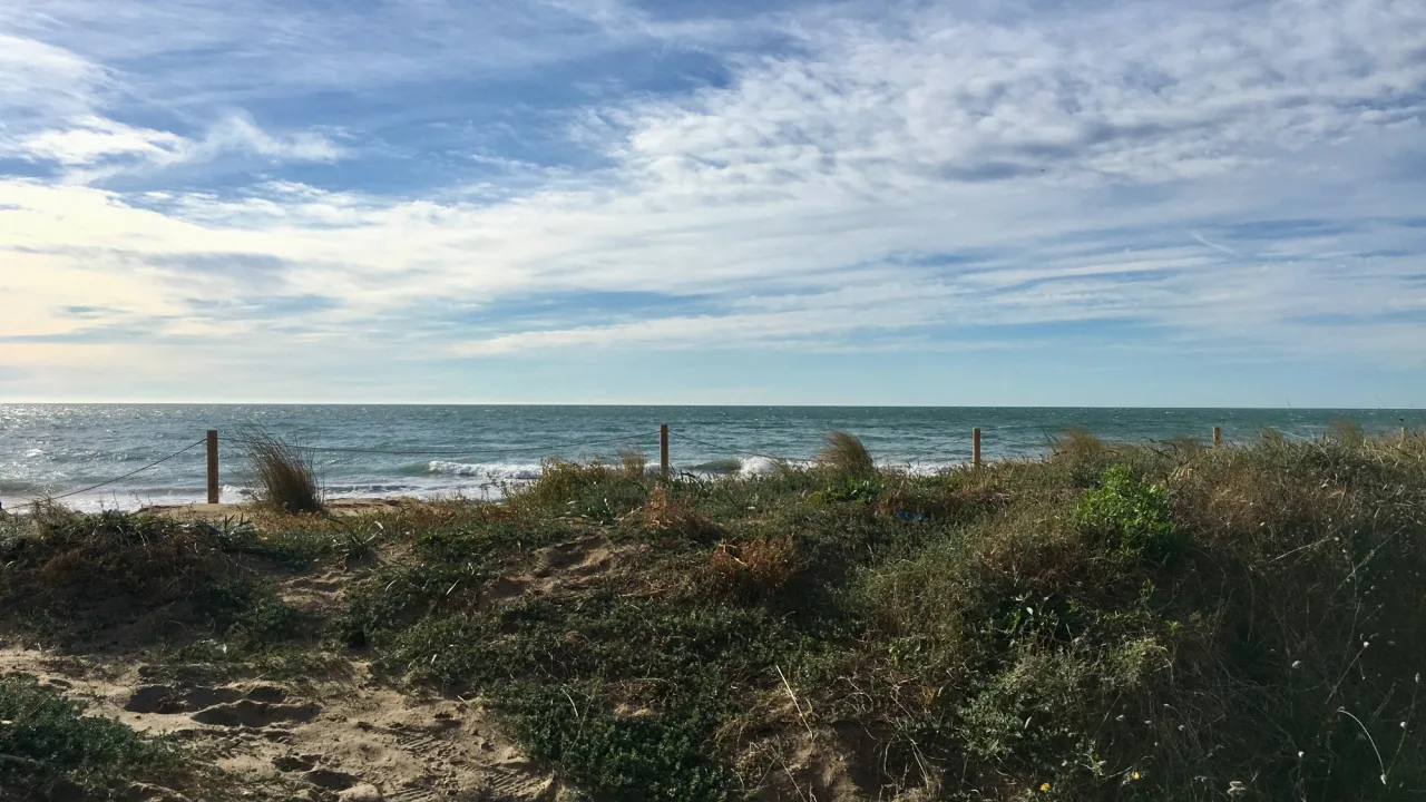 Platja de gossos de Gavà (les Marines)