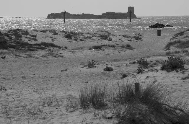 Playa canina de Lavaculos (Sancti Petri)
