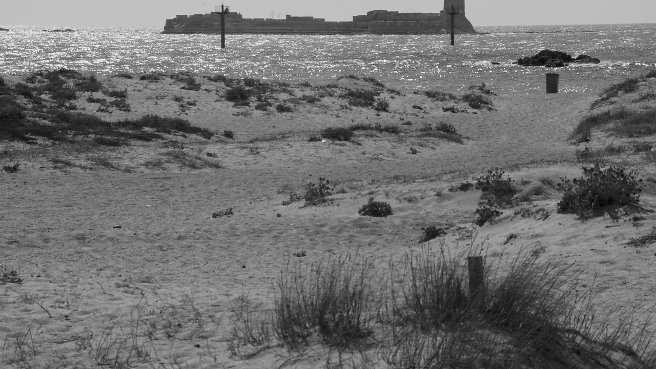 Playa canina de Lavaculos (Sancti Petri)