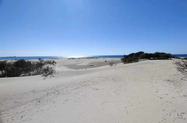 Playa canina de Camposoto