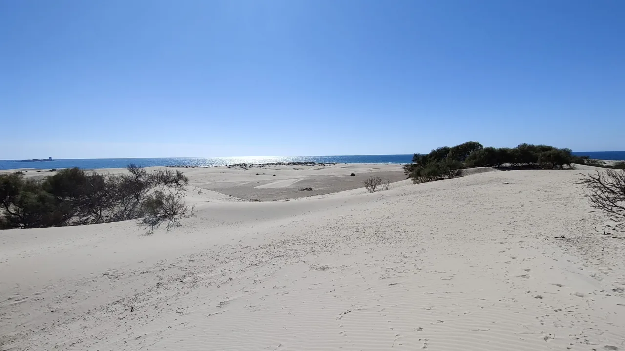 Playa canina de Camposoto