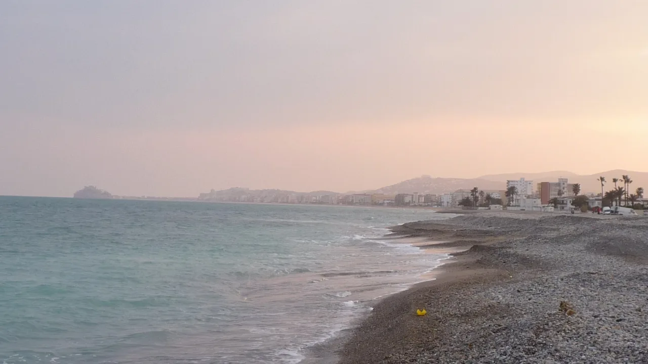 Playa canina del Barranquet