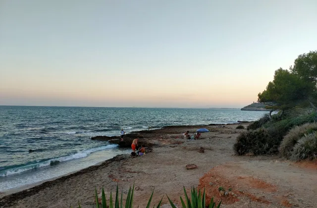 Playa canina de la Renegà