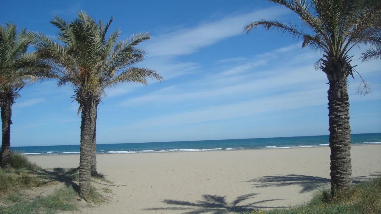 Playa canina del Pinar