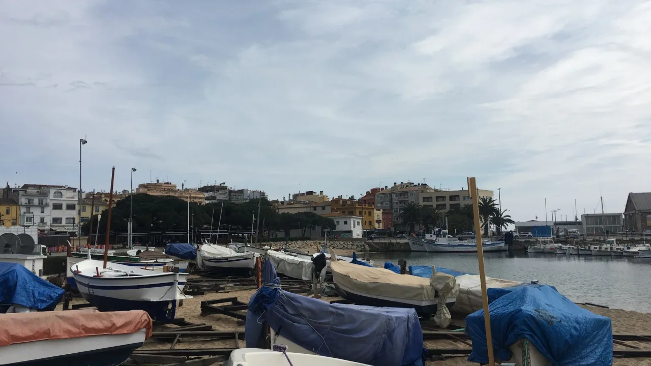 Platja Gran de Palamós, tramo canino de invierno