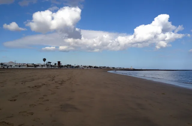 Zona canina de la playa de Guacimeta