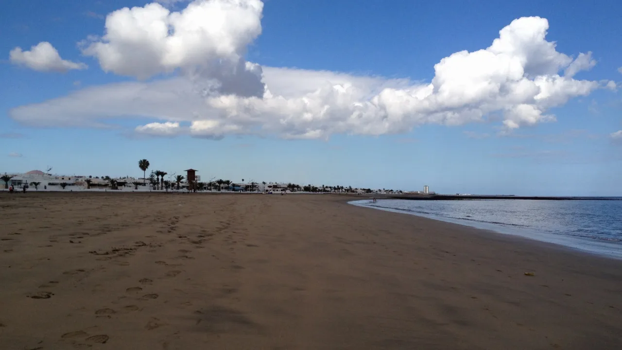 Zona canina de la playa de Guacimeta