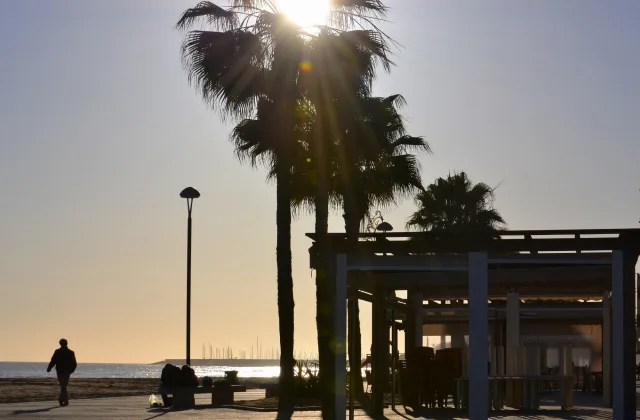 Platja per a gossos de Torredembarra (Baix a Mar)