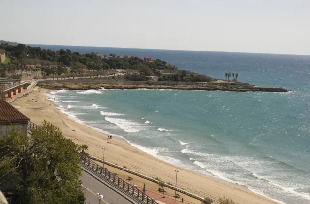 Espai per a gossos de la platja del Miracle