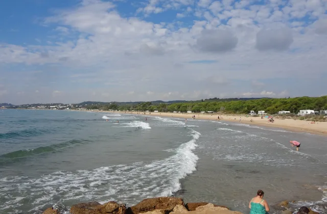 Espai per a gossos de la Platja Llarga