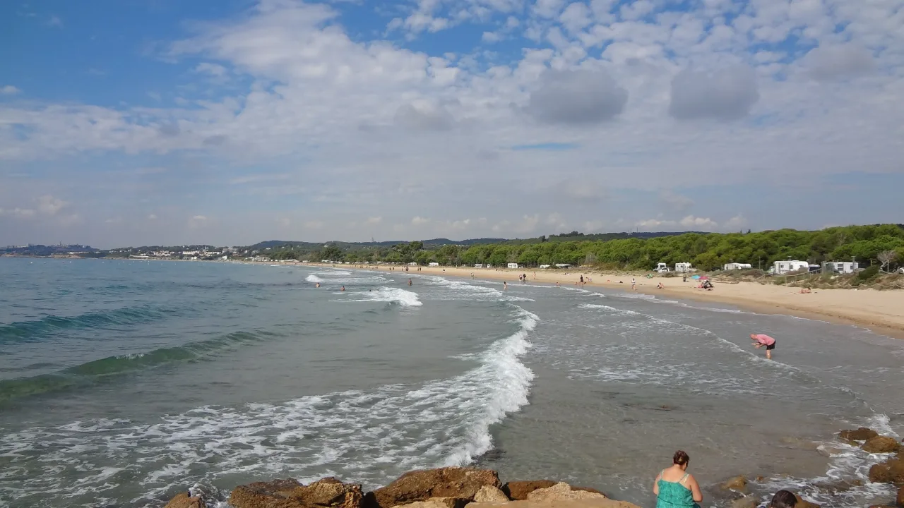 Espai per a gossos de la Platja Llarga
