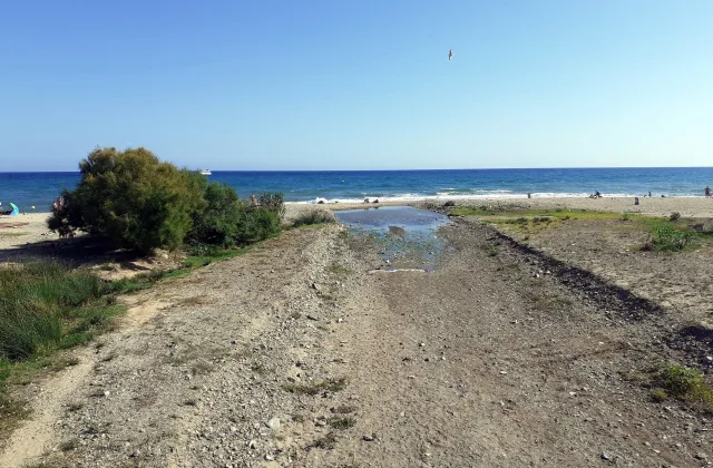 Platja per a gossos de Cambrils (riera d'Alforja)