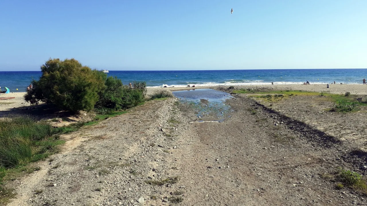 Platja per a gossos de Cambrils (riera d'Alforja)