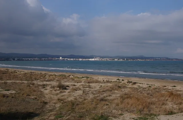 Zona per a gossos de la platja de l'Arenal (L'Ampolla)