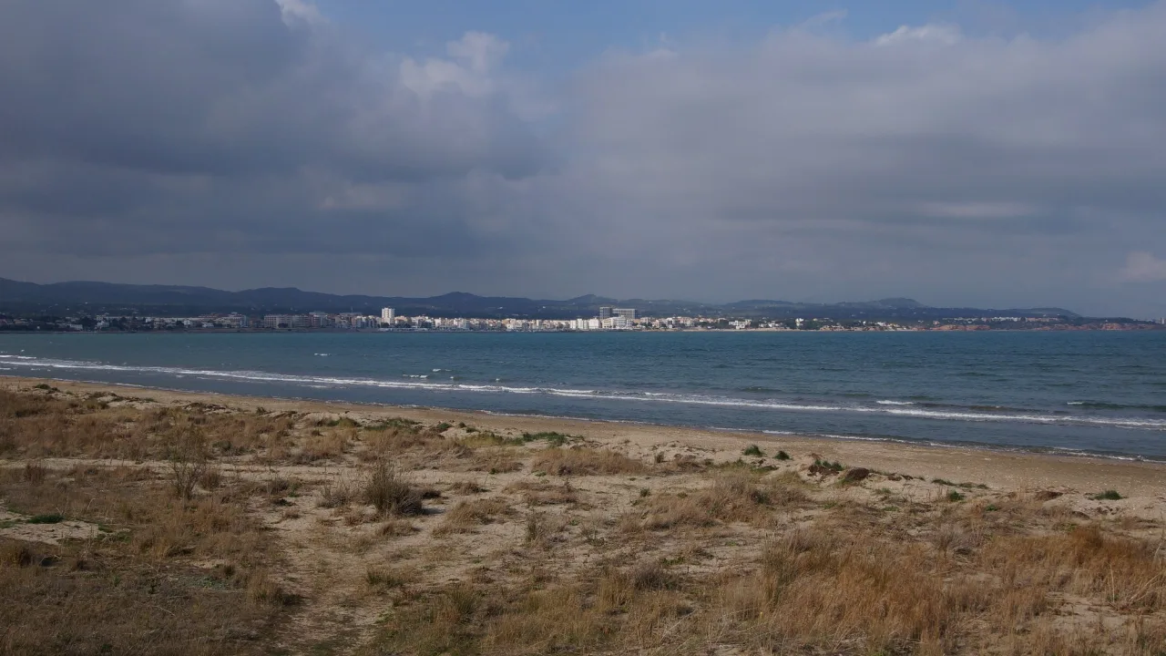 Zona per a gossos de la platja de l'Arenal (L'Ampolla)