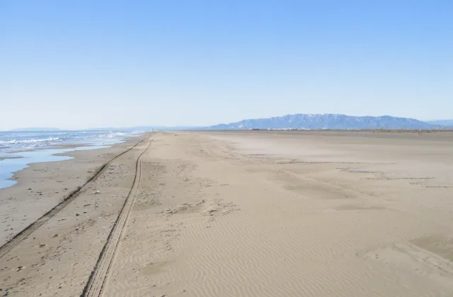 Zona canina de la platja dels Eucaliptus