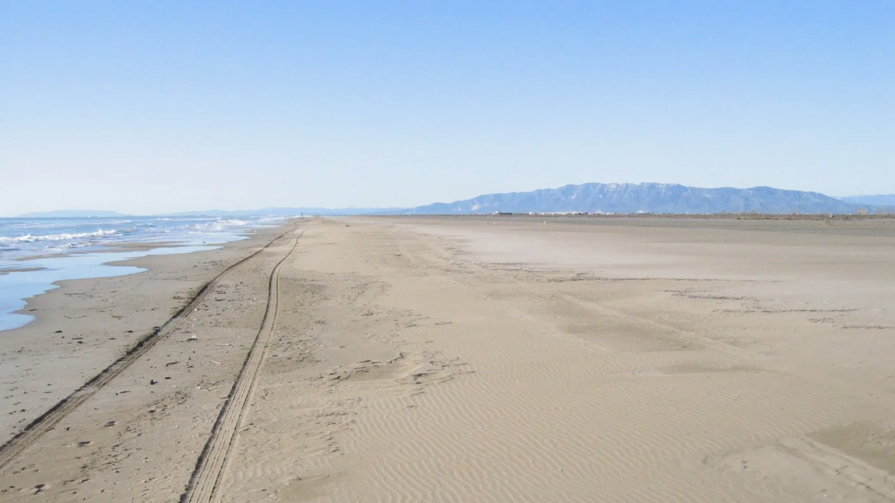 Zona canina de la platja dels Eucaliptus