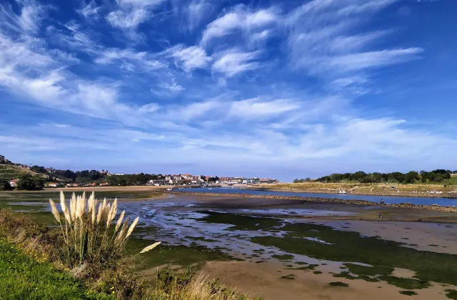 Playa de La Riberuca (zona canina)