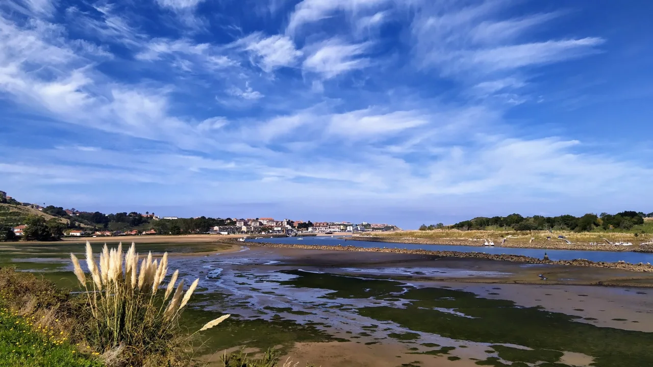 Playa de La Riberuca (zona canina)