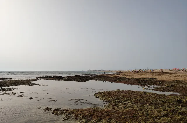 Playa canina de Torregorda