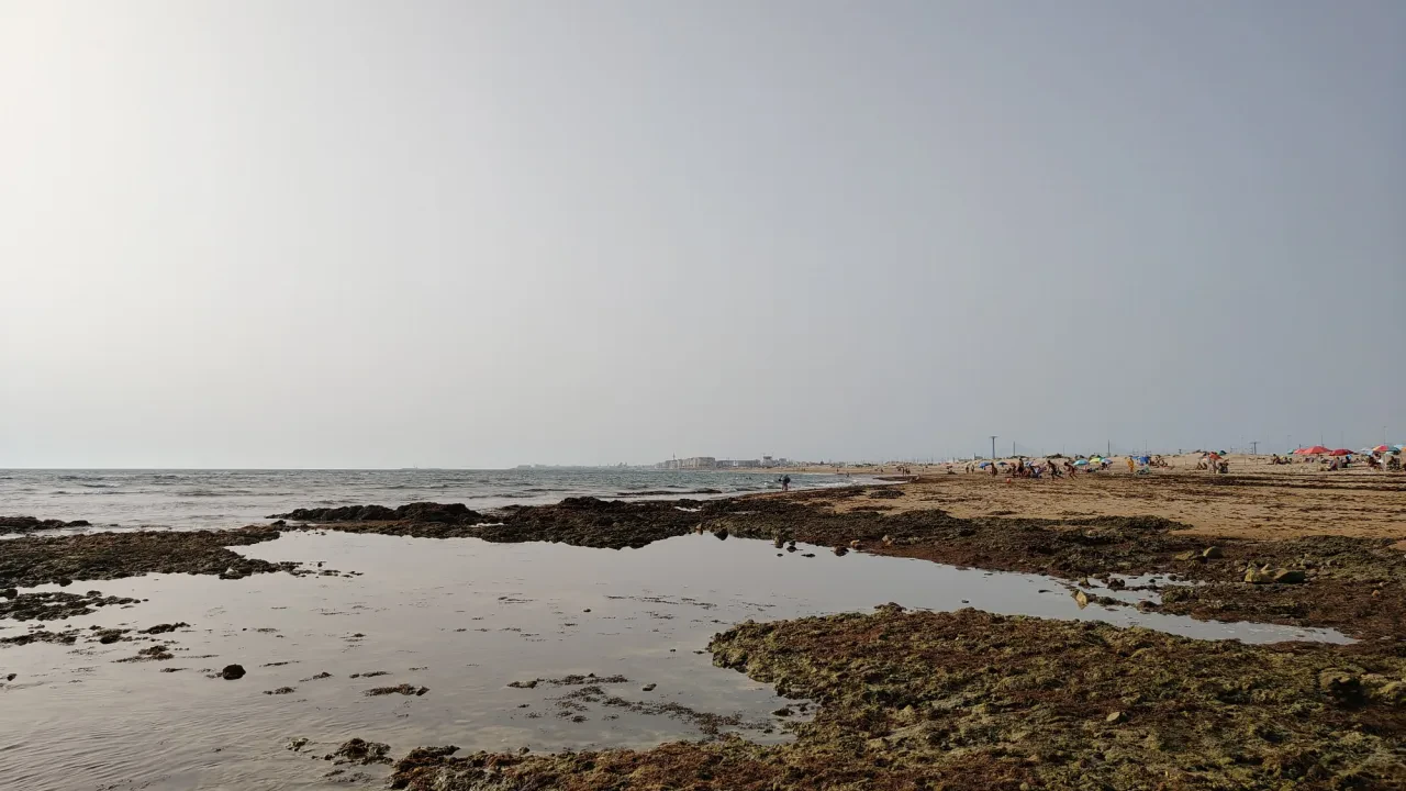 Playa canina de Torregorda