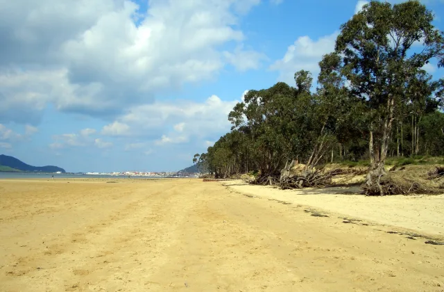 Playa de El Regatón