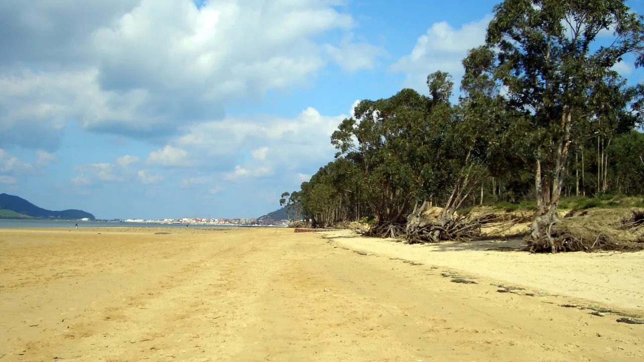 Playa de El Regatón