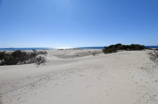 Playa canina de Camposoto