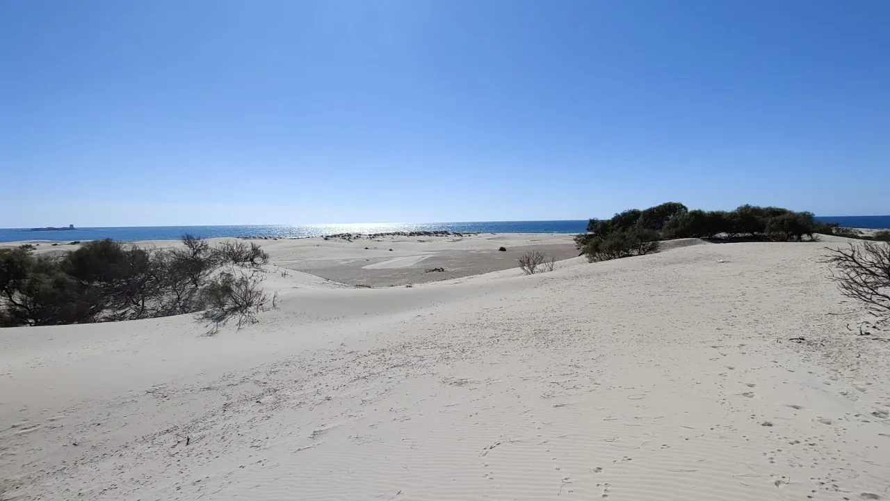 Playa canina de Camposoto