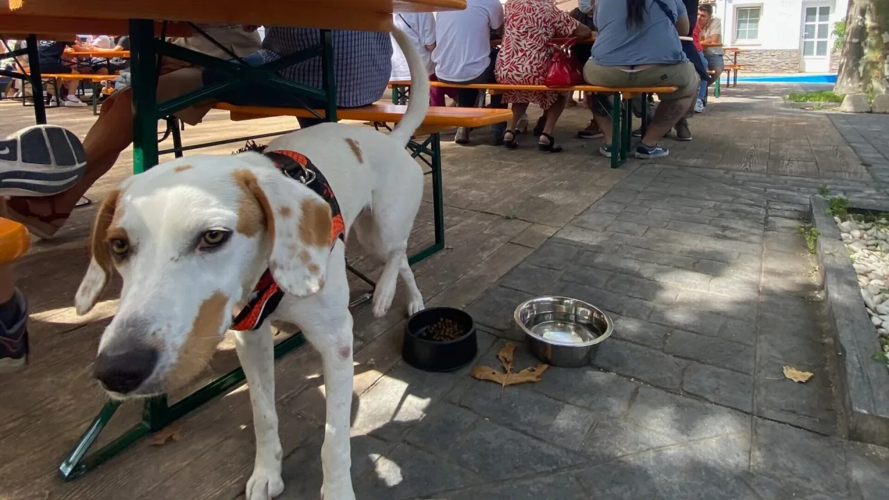 Dame la Brasa