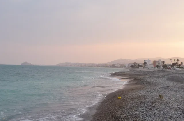 Playa canina del Barranquet