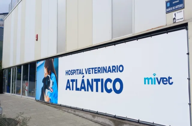 Hospital Veterinario Atlántico (MiVet)