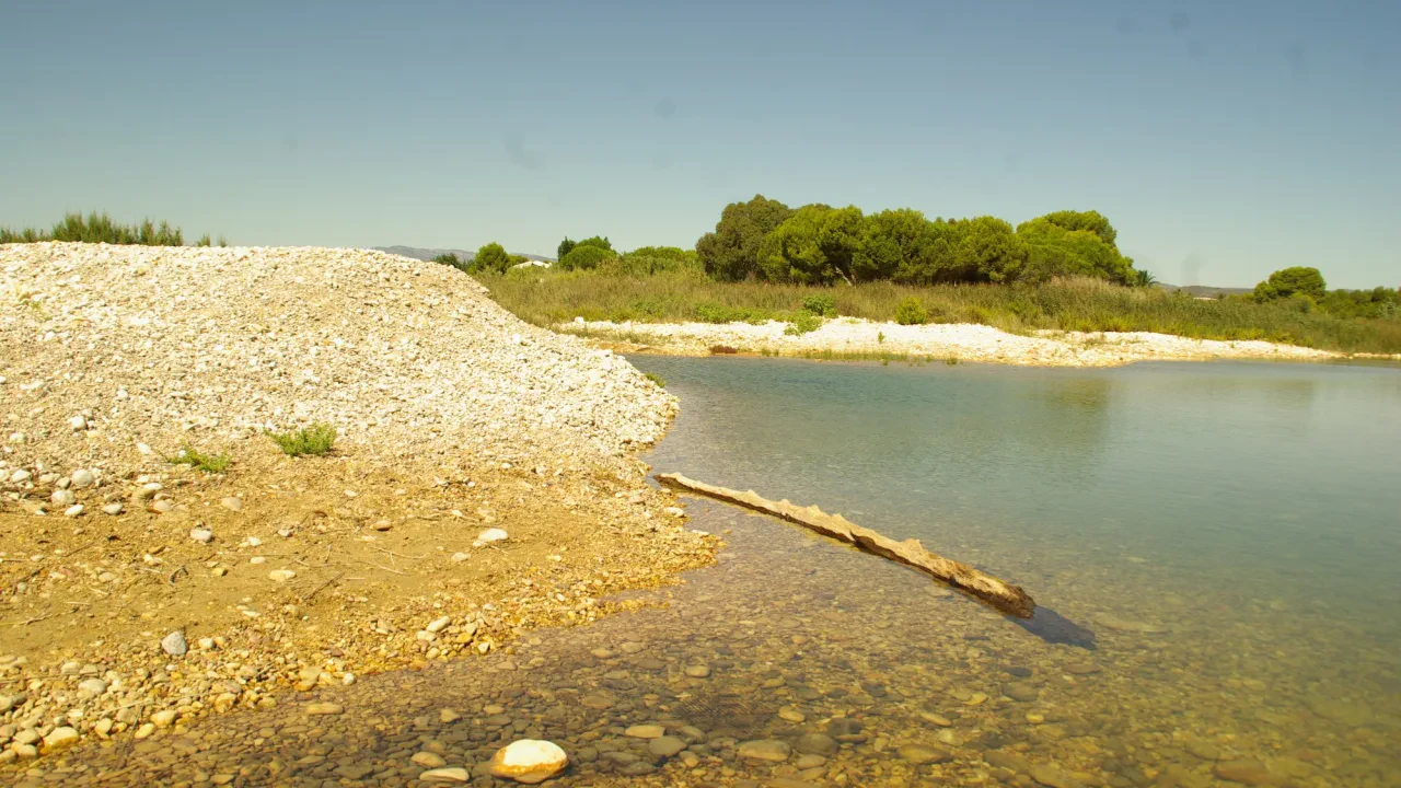 Playa canina de l'Estany (Punta Capicorb)