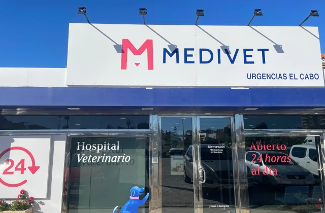 Medivet El Cabo Hospital Veterinario 24 horas
