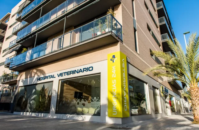 Fénix Hospital Veterinario