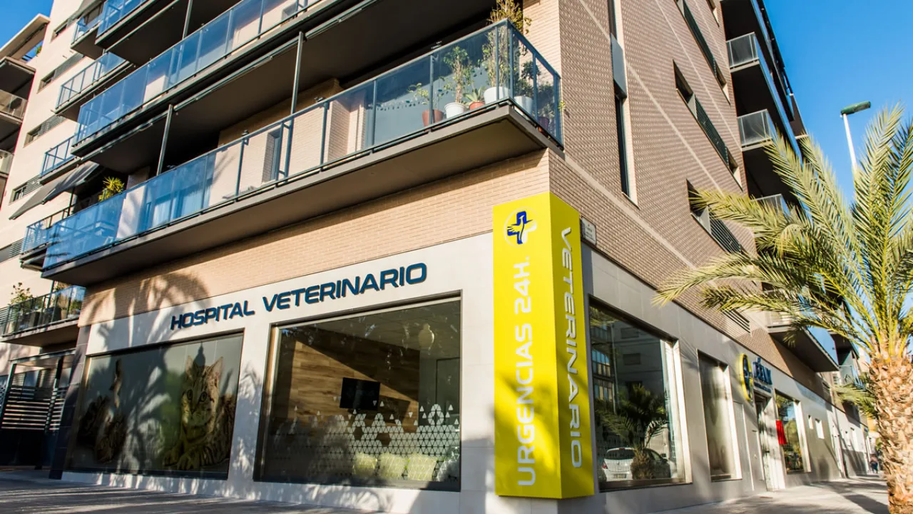 Fénix Hospital Veterinario