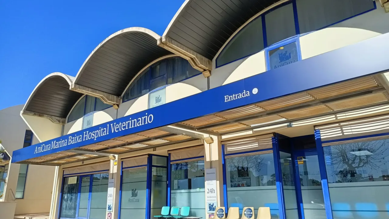 AniCura Marina Baixa Hospital Veterinario