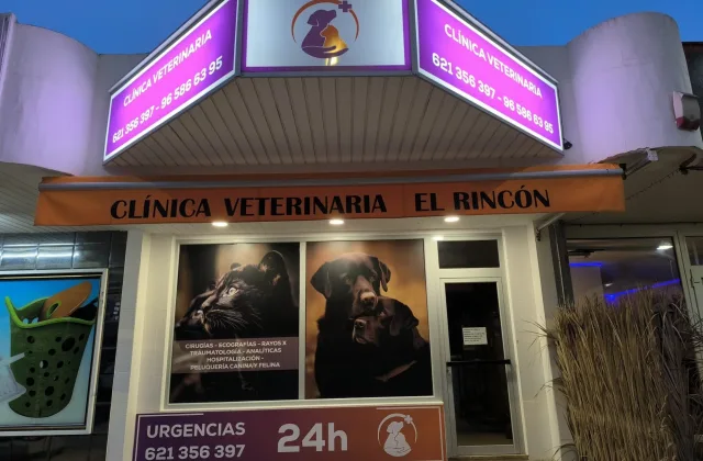 Clínica Veterinaria El Rincón