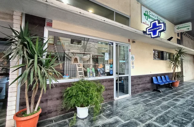 Clínica Veterinaria Ciudad de Badajoz