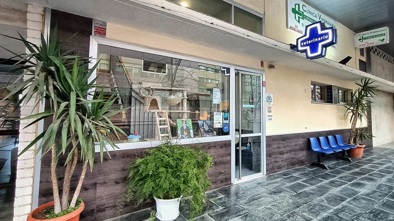 Clínica Veterinaria Ciudad de Badajoz