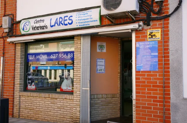 Centro Veterinario Lares
