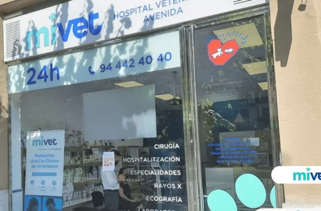 Hospital Veterinario Avenida (MiVet)