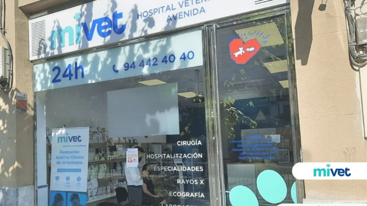 Hospital Veterinario Avenida (MiVet)