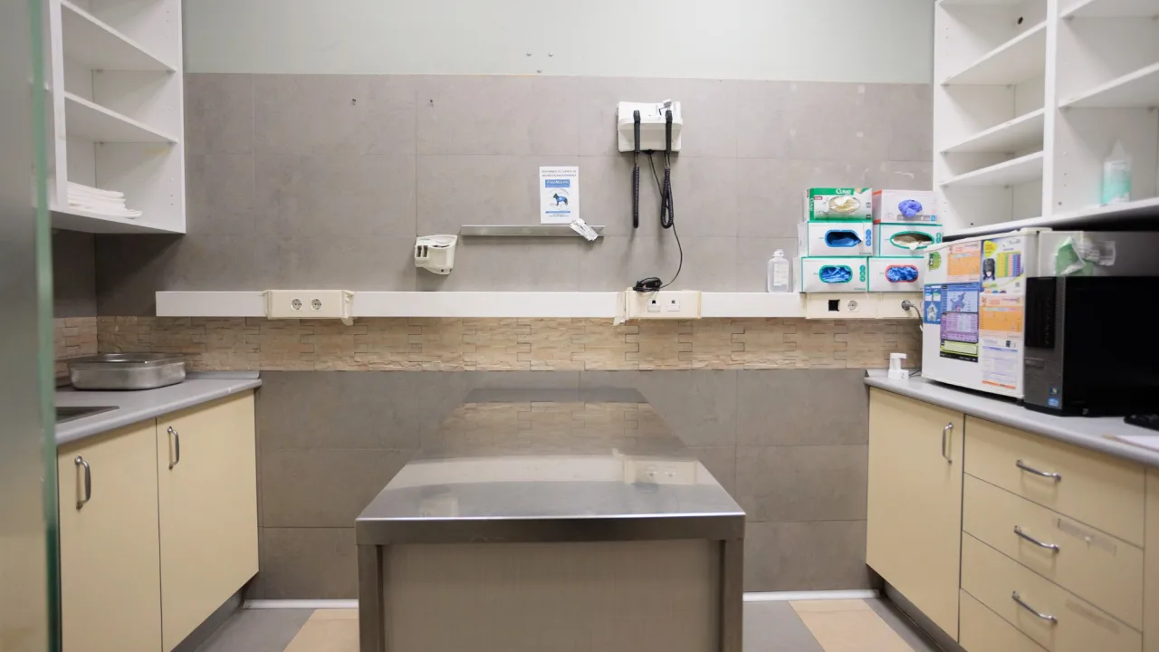 Hospital Veterinario Tartanga (UNAVETS)