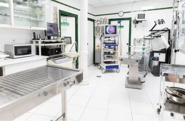 Hospital Veterinario Elkano (Abereen Klinikak)