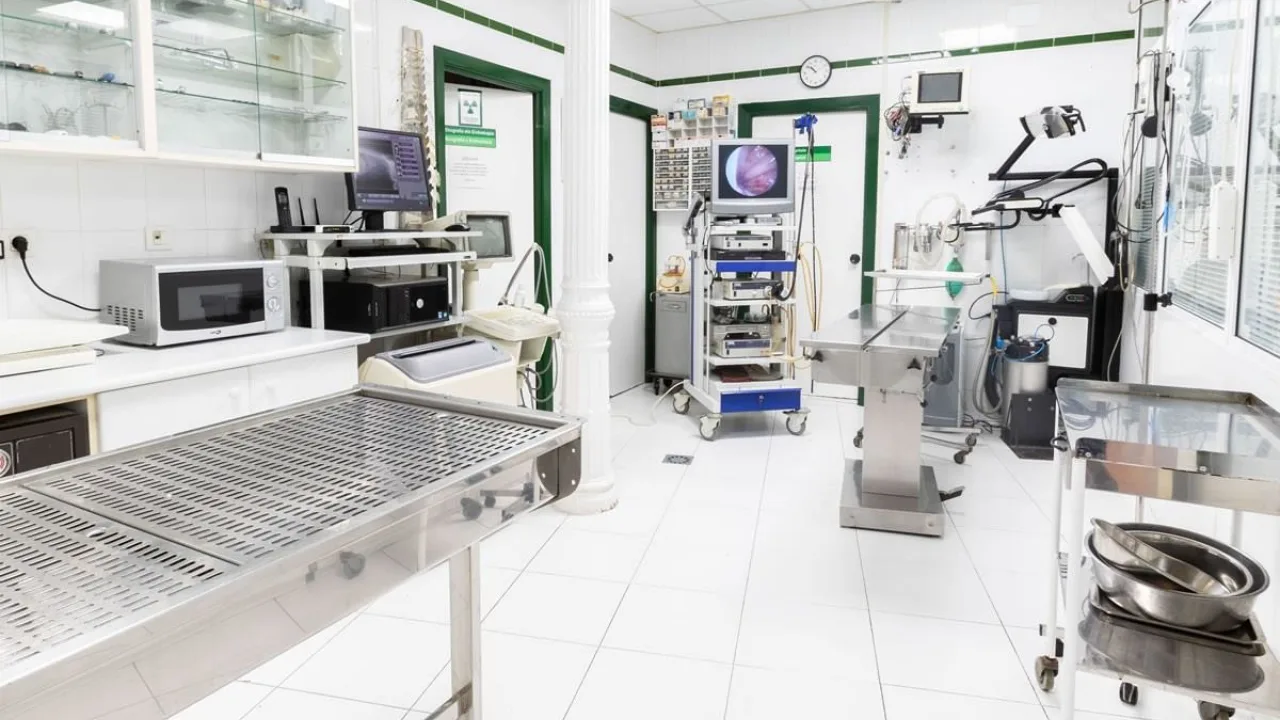 Hospital Veterinario Elkano (Abereen Klinikak)