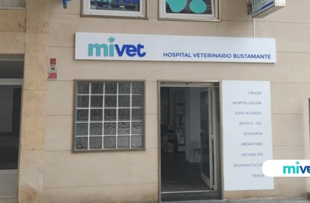 Hospital Veterinario Bustamante (MiVet)